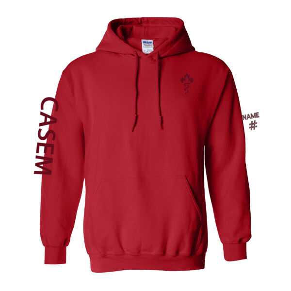 Gildan Unisex Tone on Tone CASEM Printed Hoodie Thumbnail
